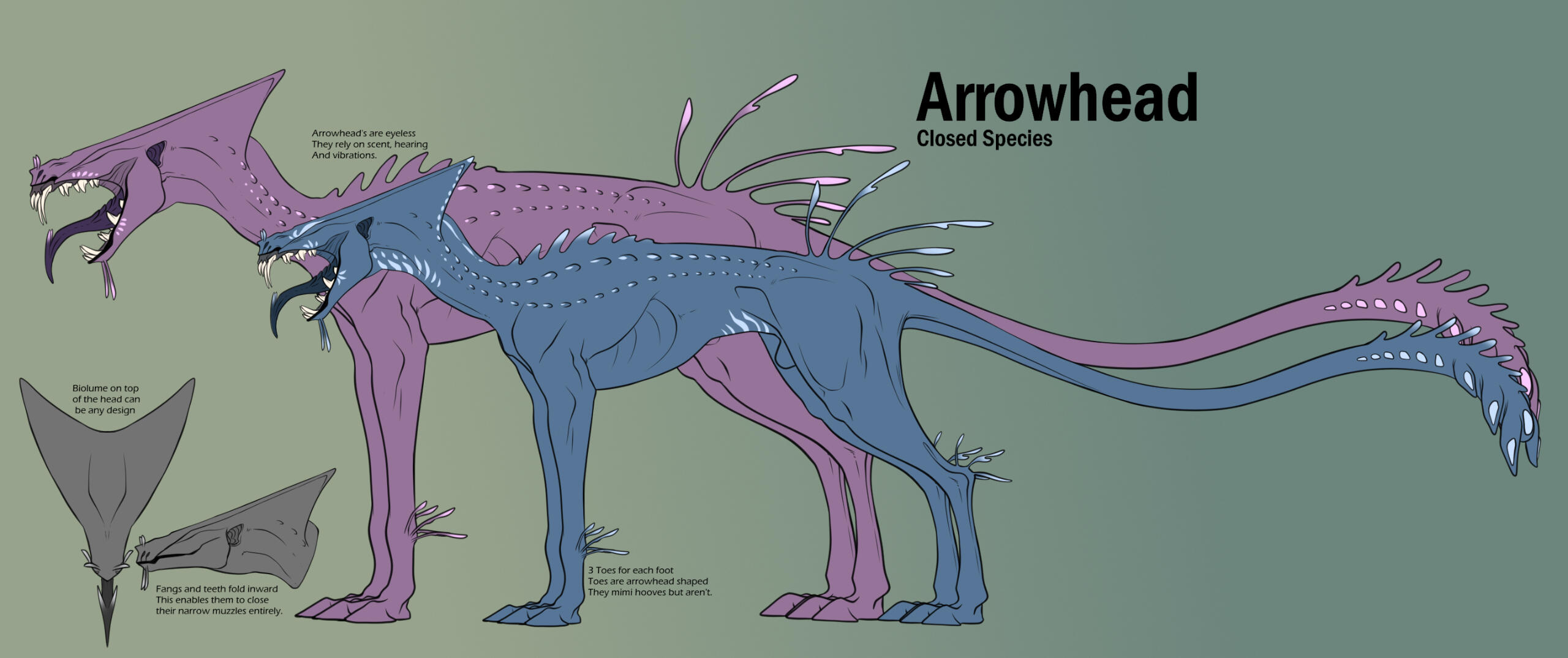 Vypren Reference M&F