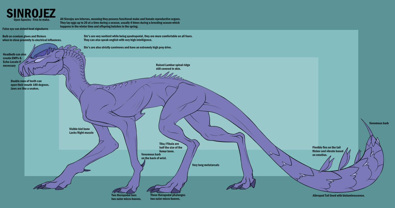 Vypren Reference M&F